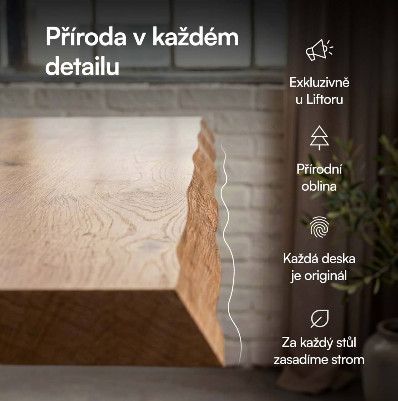 foto137.jpg